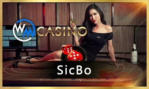 New Slot Games to Try at 8k8